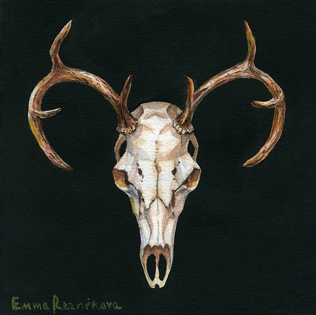 watercolor acrylic skull skeleton deer animals forest