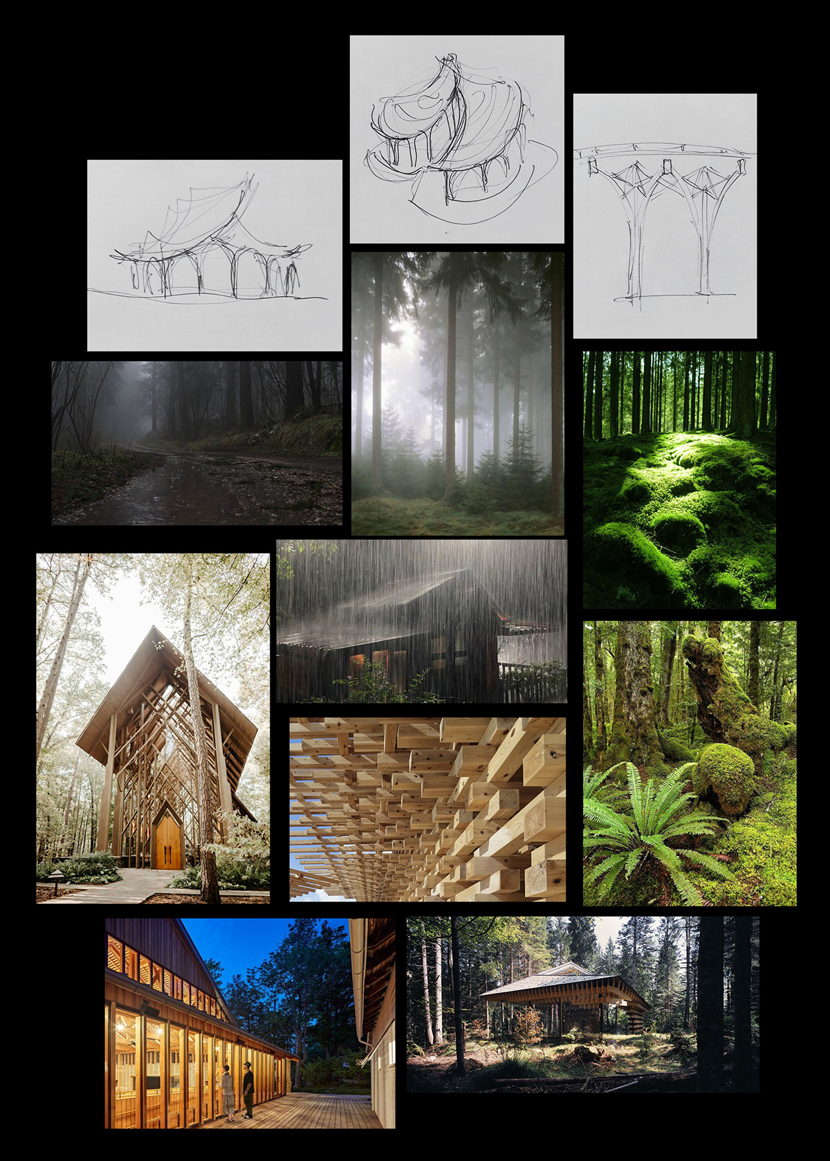 3ds max architecture archviz CGI concept corona render  exterior forest Render visualization