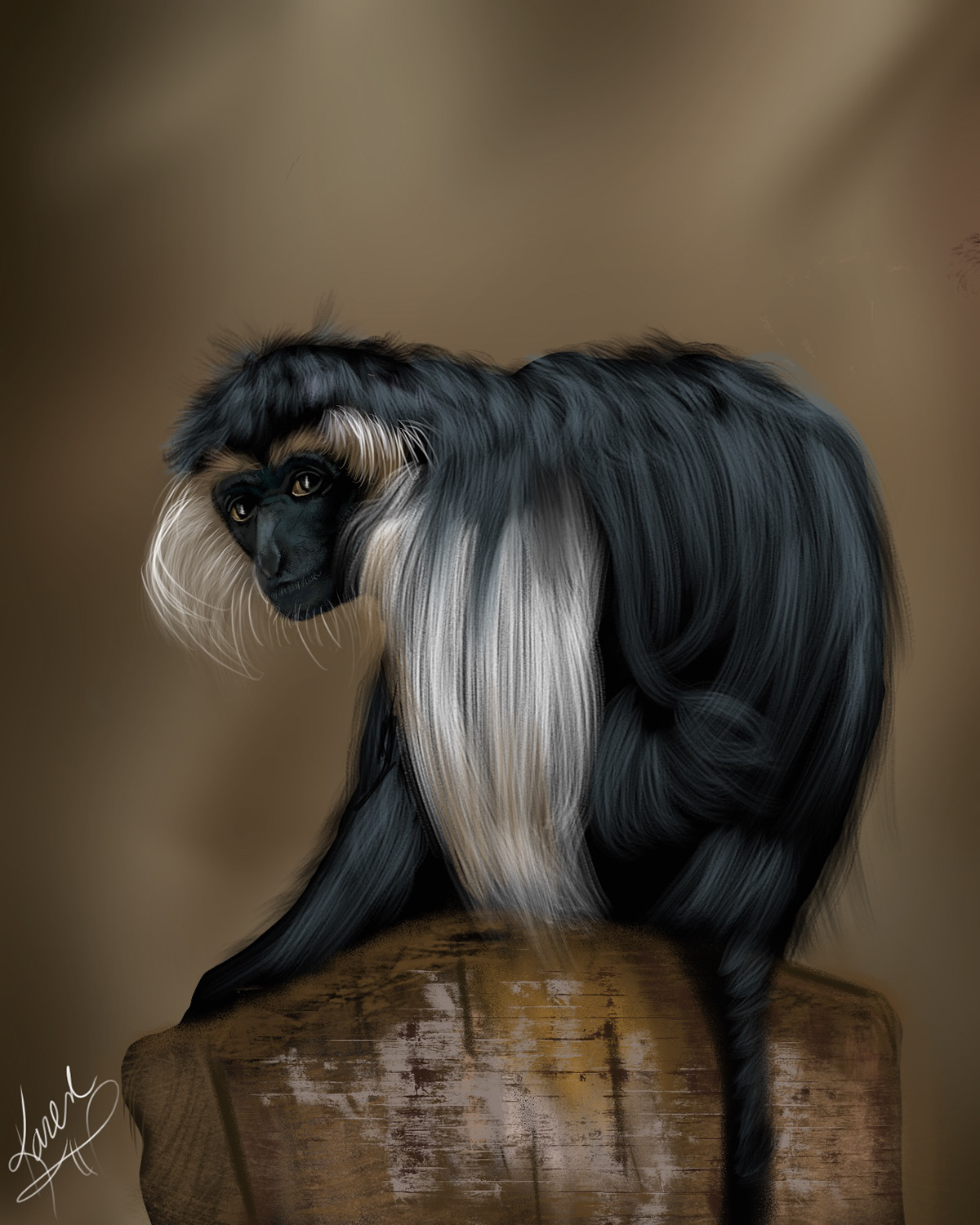 Digital Art  digital painting Drawing  illustrations animals primate monkey colobus monkey