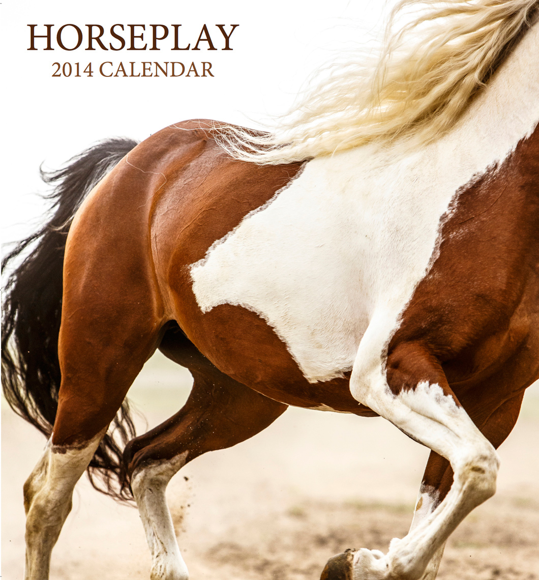 horse calendar paint pinto mare foal stallion quarter horse morgan arabian gypsy vanner running Beautiful