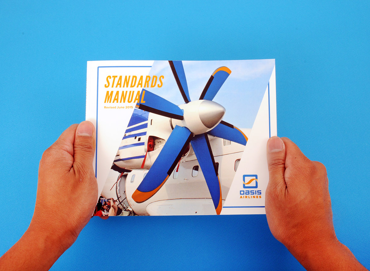 Airlines poster standards manual annual report brochure brand identity logo mocks Corporate Identity logos vector airplane ui ux Website