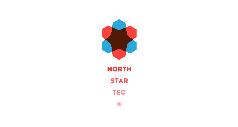 north star tec MANS-OUR STUDIO WAHAG STUDIO M.Mansour Gebaly logo identity