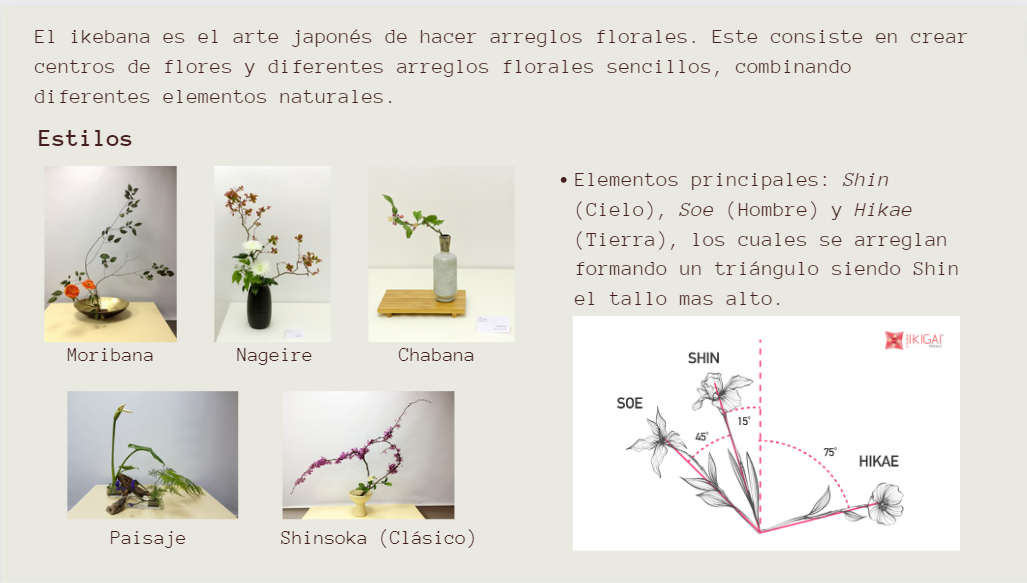 ikebana Stage Photography Photography  Flowers flower Flores floral Fotografia ikebana art ikebana bouquet