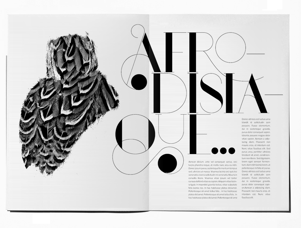 Typeface Didone bodoni Didot font contrast Display high-contrast glamour swash Ligatures magazine exuberant editorial Swashes