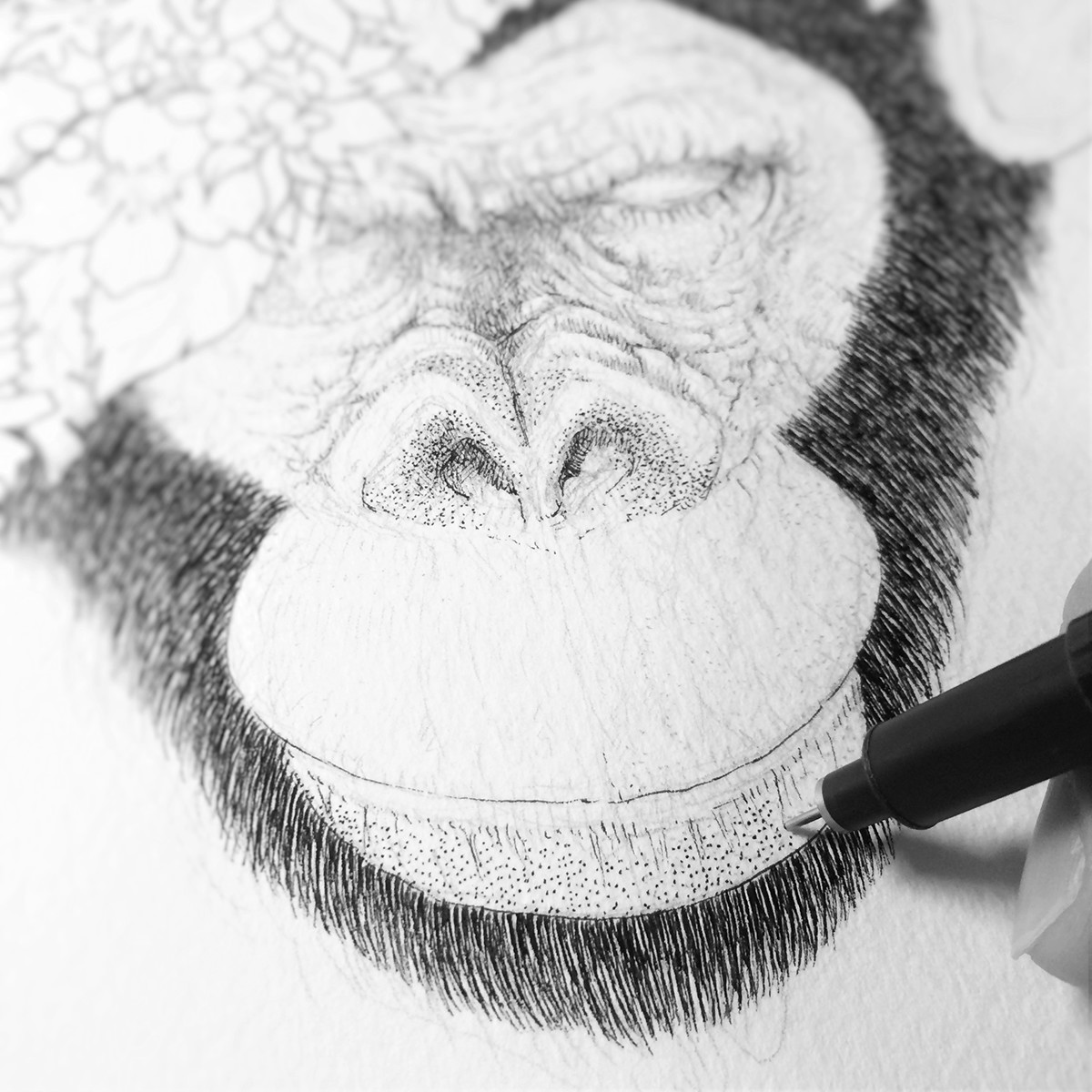 chimpanzee ape animal dots black ink flower botanical society6 monkey japan tokyo