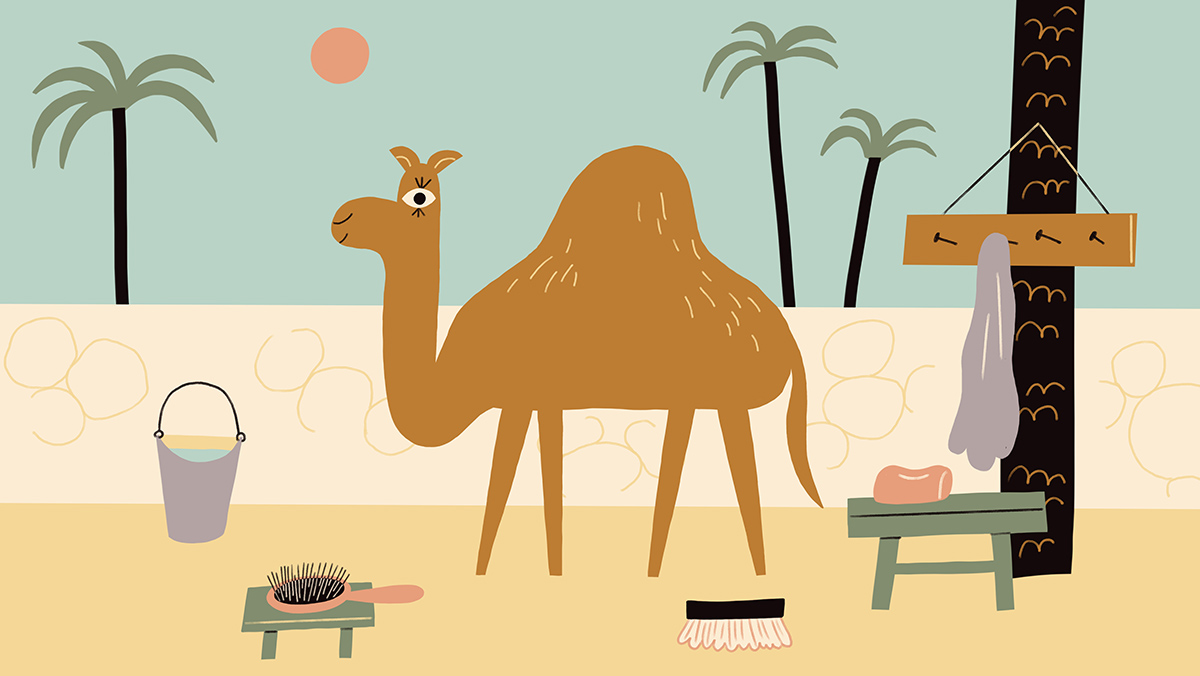 kids app camel middle east game e-book ILLUSTRATION 
