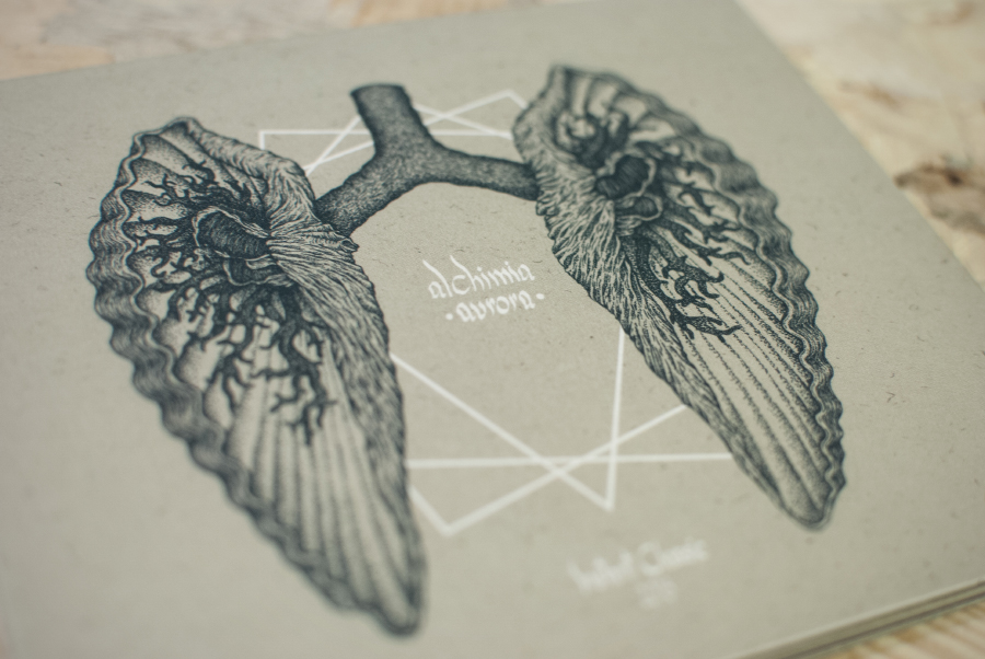 album art cover album cover alchima aurora shell geometry anatomy Ambient experimental