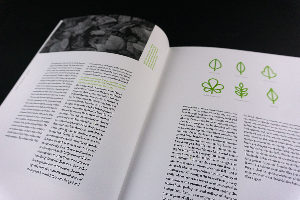 time life book design book editorial trees forest