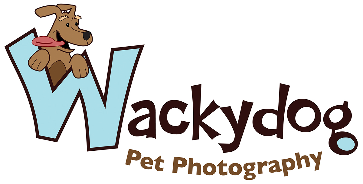wackydog Logo Design pet photography