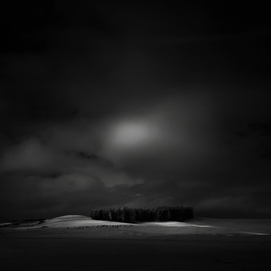 infrared nlwirth Nathan Wirth Landscape trees hills Marin County Sonoma County light