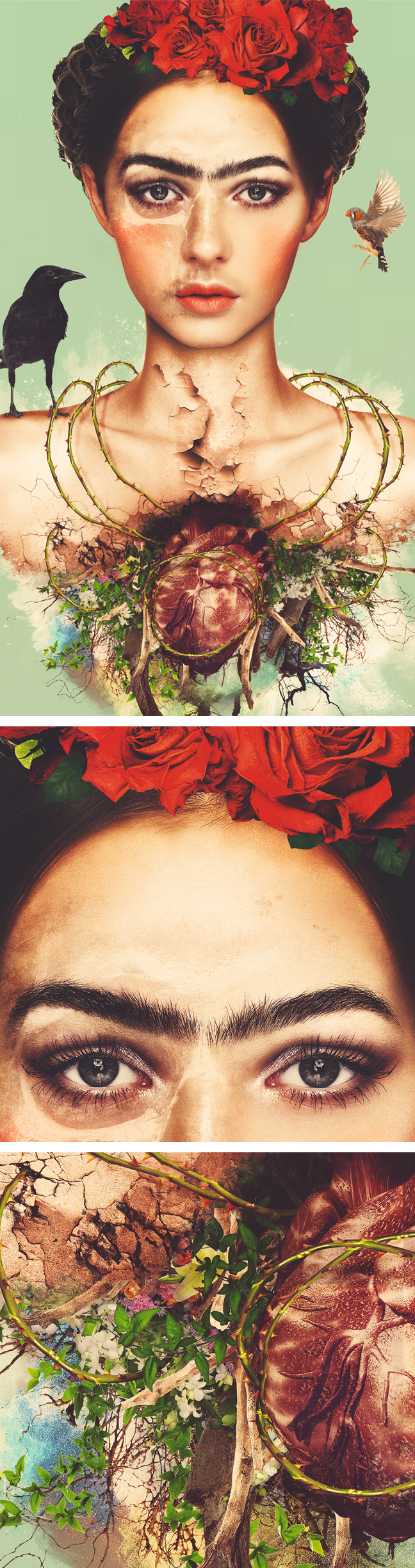 Digital Art  Creativity passion Frida Kahlo beauty Photography  capture