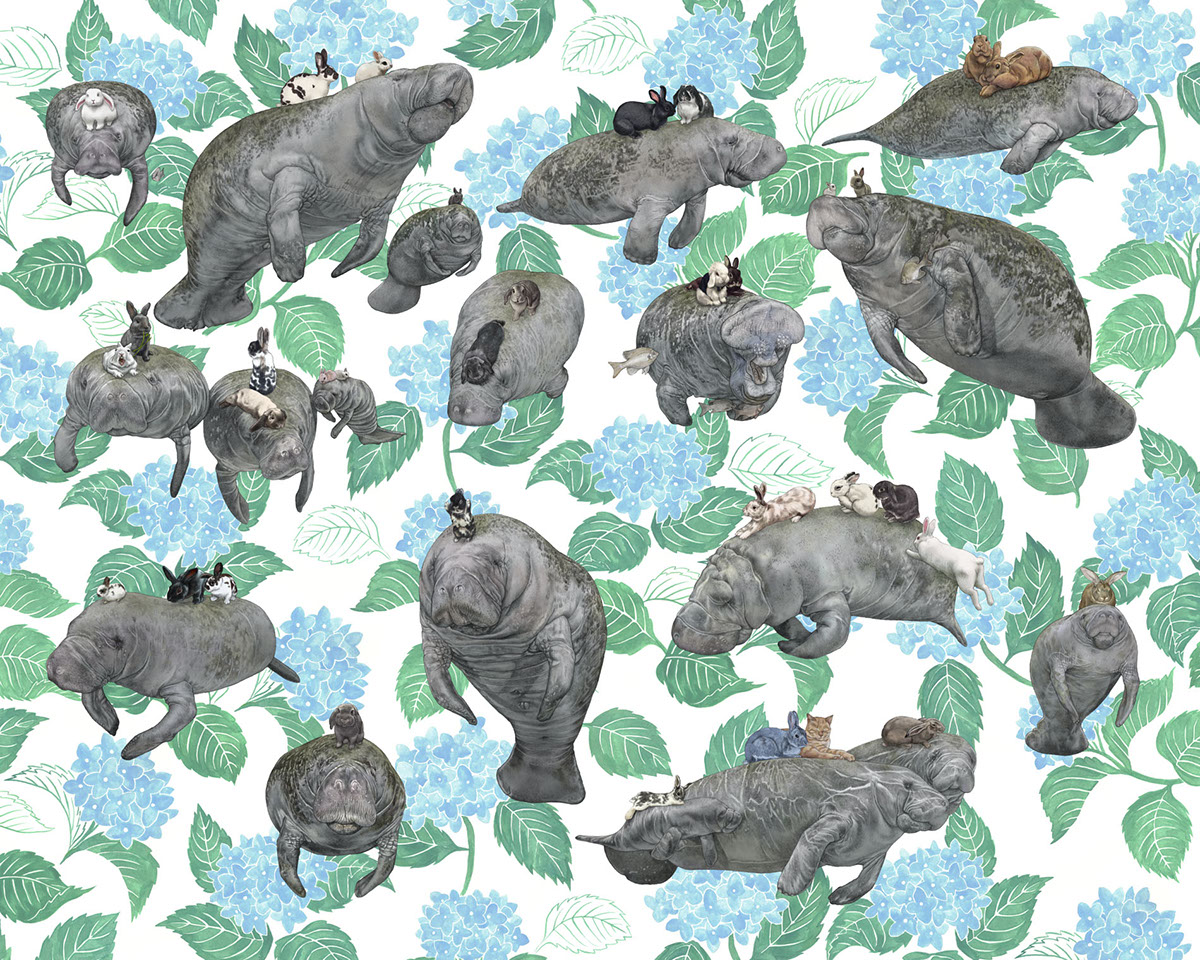 Pangea Seed manatee bunny conservation rabbit print digital pencil