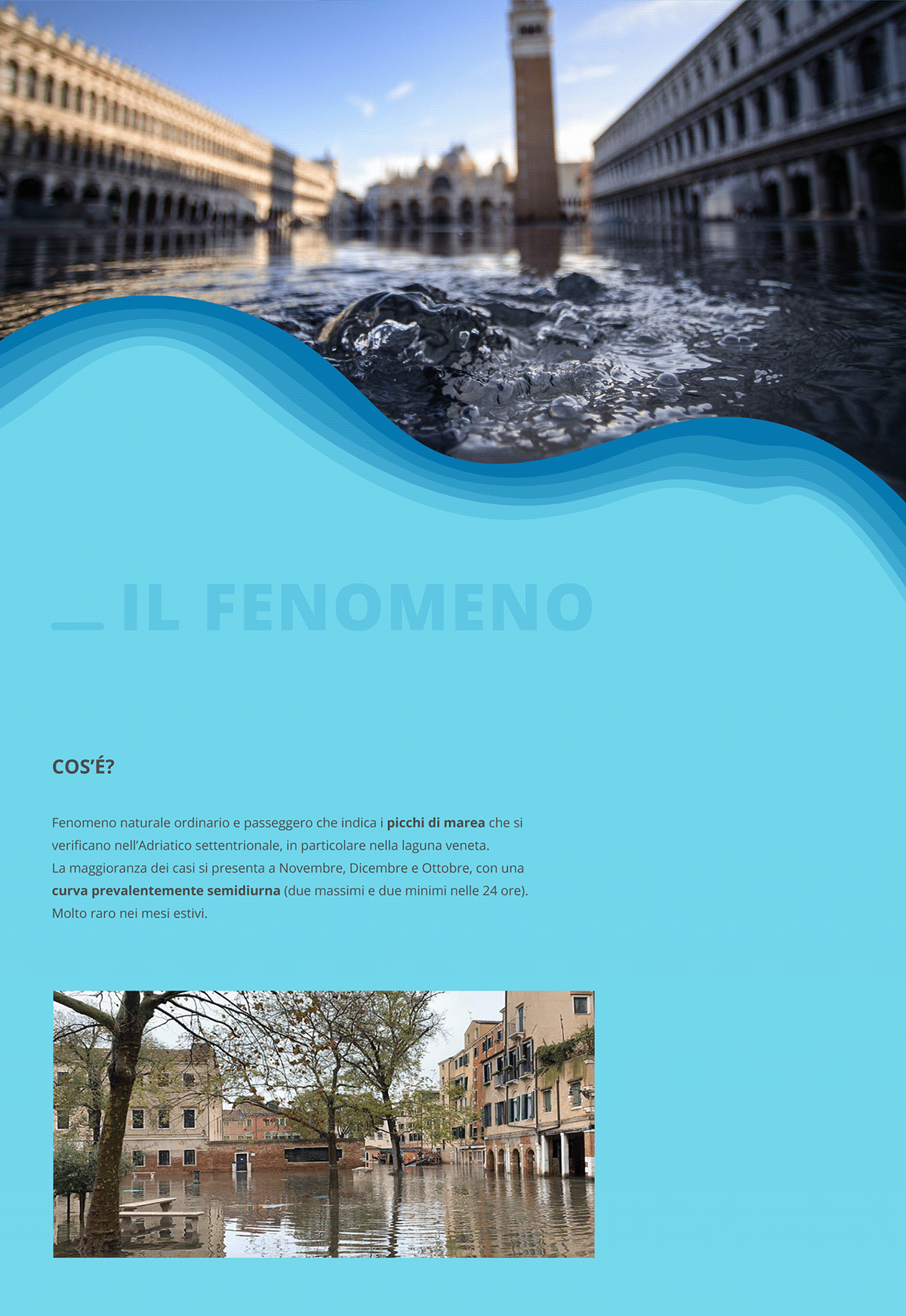 acqua alta applicazione flat ILLUSTRATION  mobile UI ux venezia Venice Web Design 