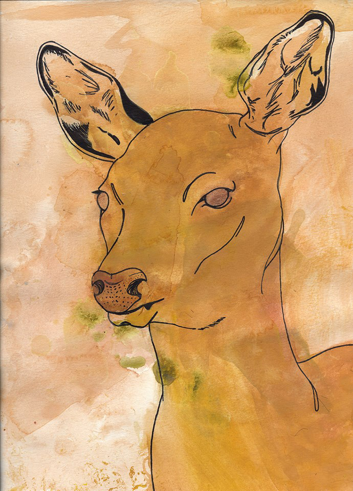 lion Lions deer DEERS doe gazelle watercolor ink tea antlers roar ox cow