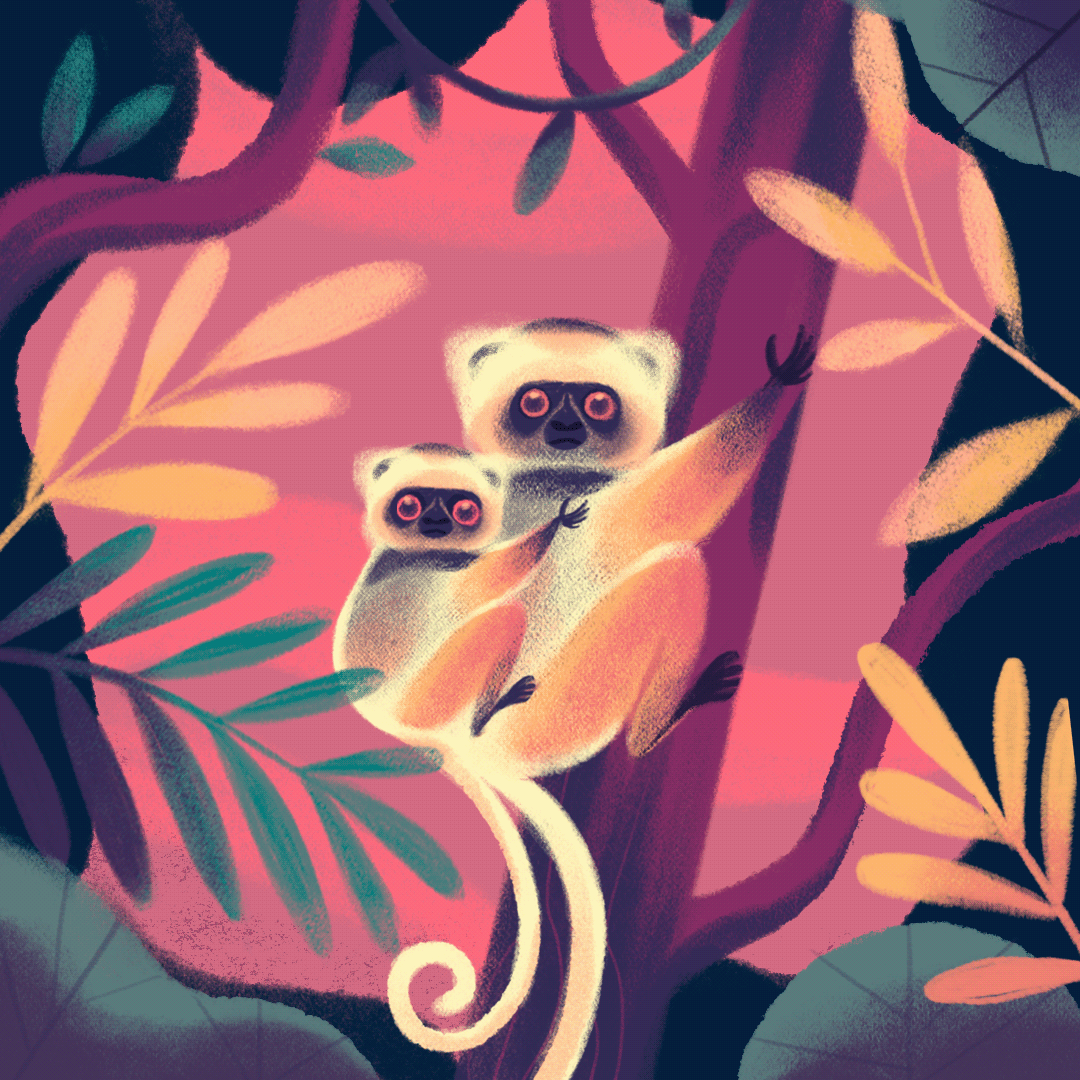 digital illustration children's book animals illustration jungle botanical lemur Character diademed sifaka onemilliononemonth