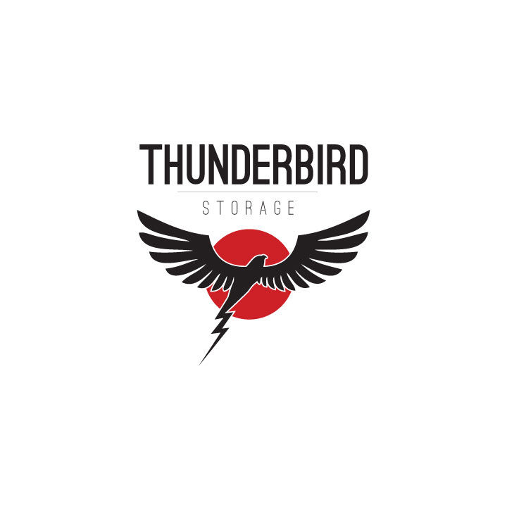 thunderbird  storage  bird lighting