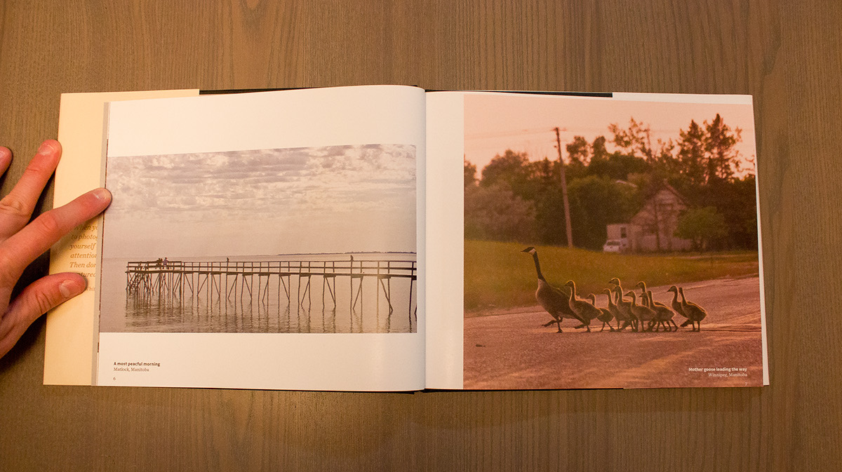 book Album Travel landscapes animals Nature wild birds