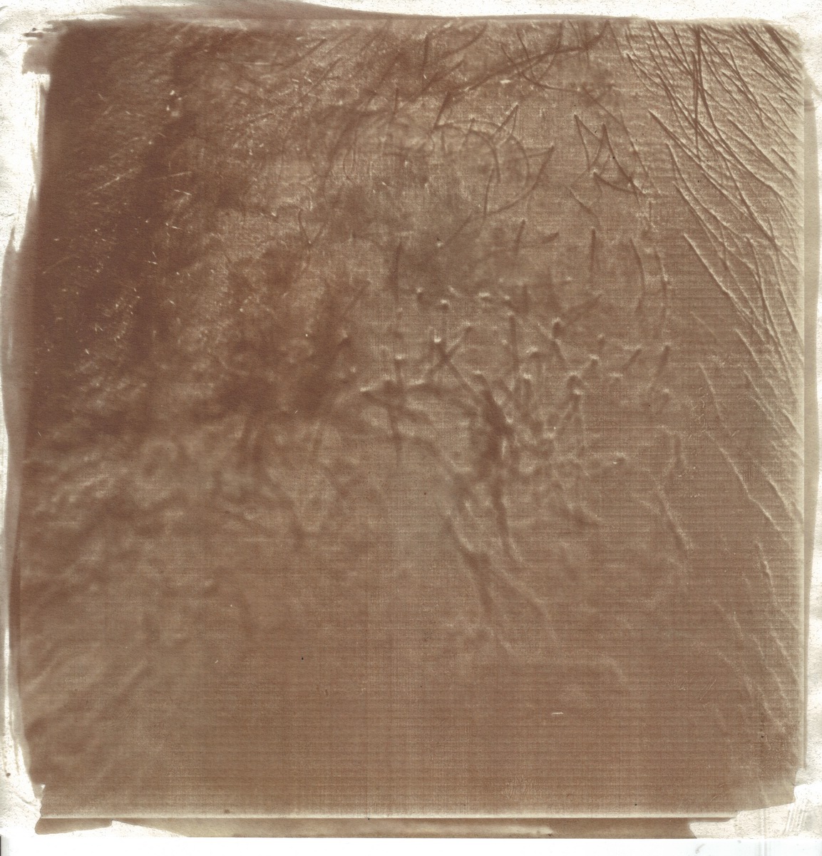 talbotype salted paper salt paper calotype talbotipo calotipo abstract male man body Landscape skin sun print