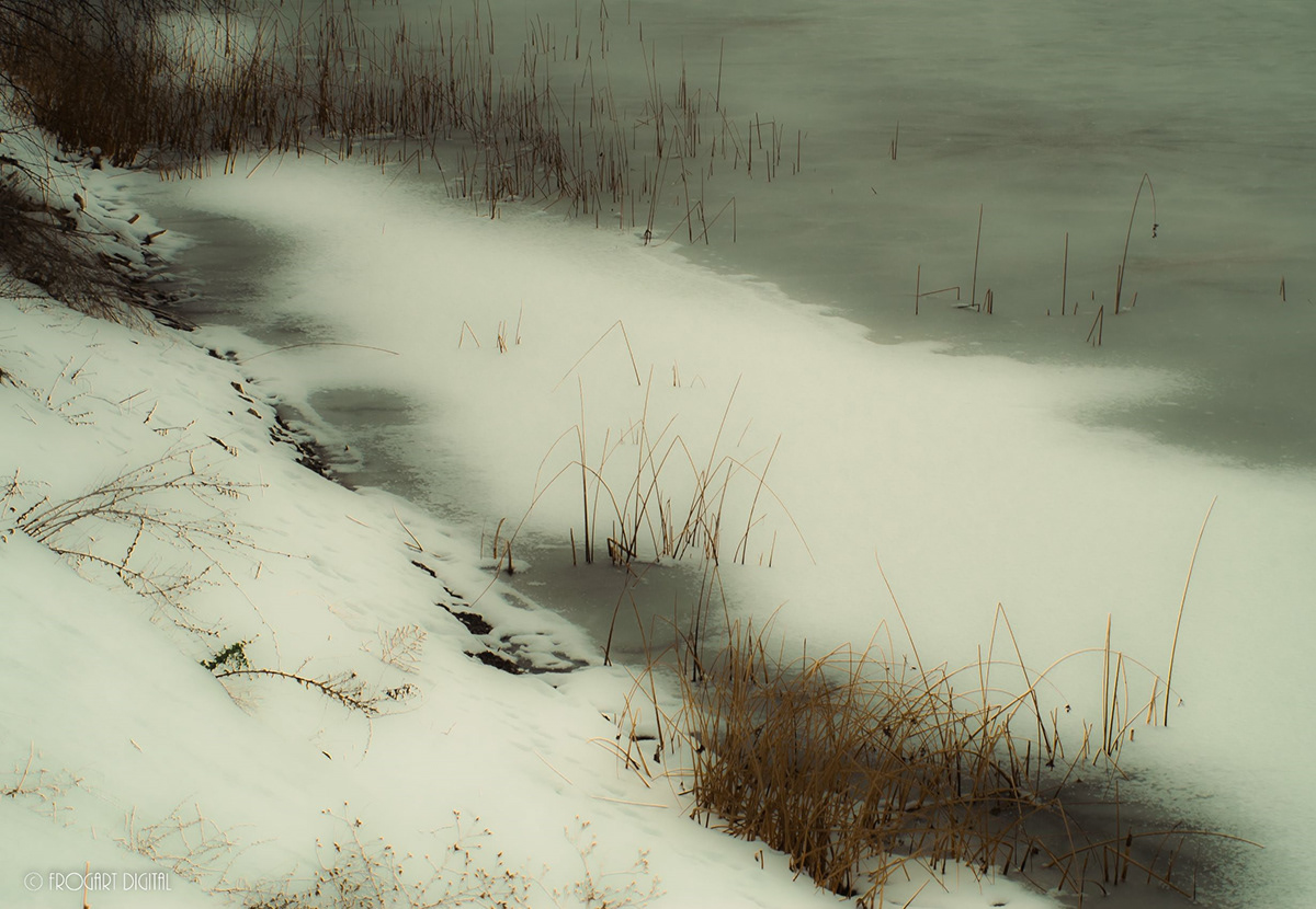 close to the edge Daydream daydreaming grasses Nature Nature Reserves riparian snow winter winter scene
