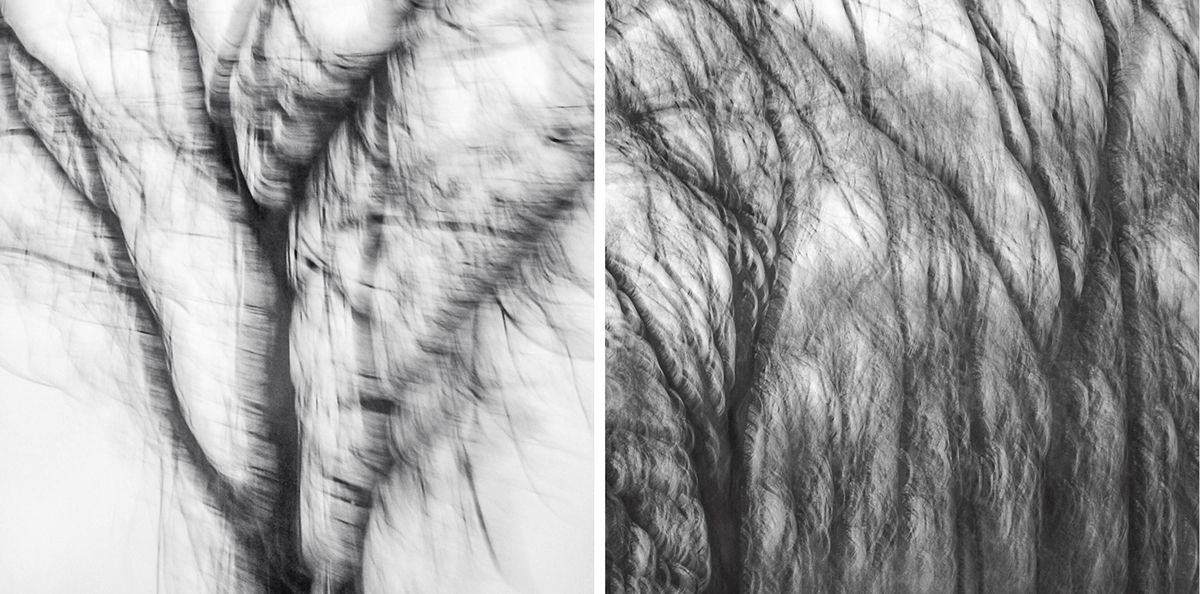 infrared motion blur passenger seat trees forest orchard