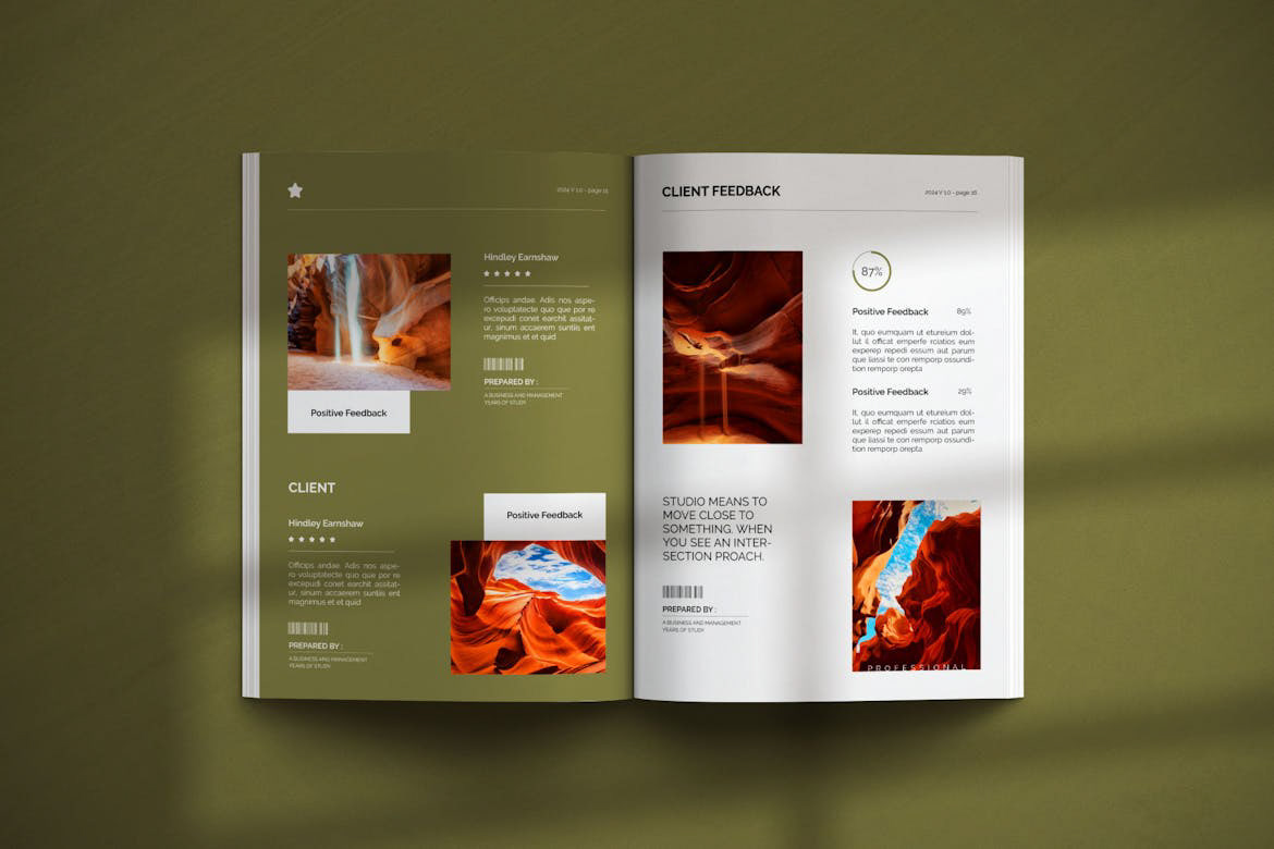 Proposal design brochure proposal design company profile brand identity brand template catalog Catalogue
