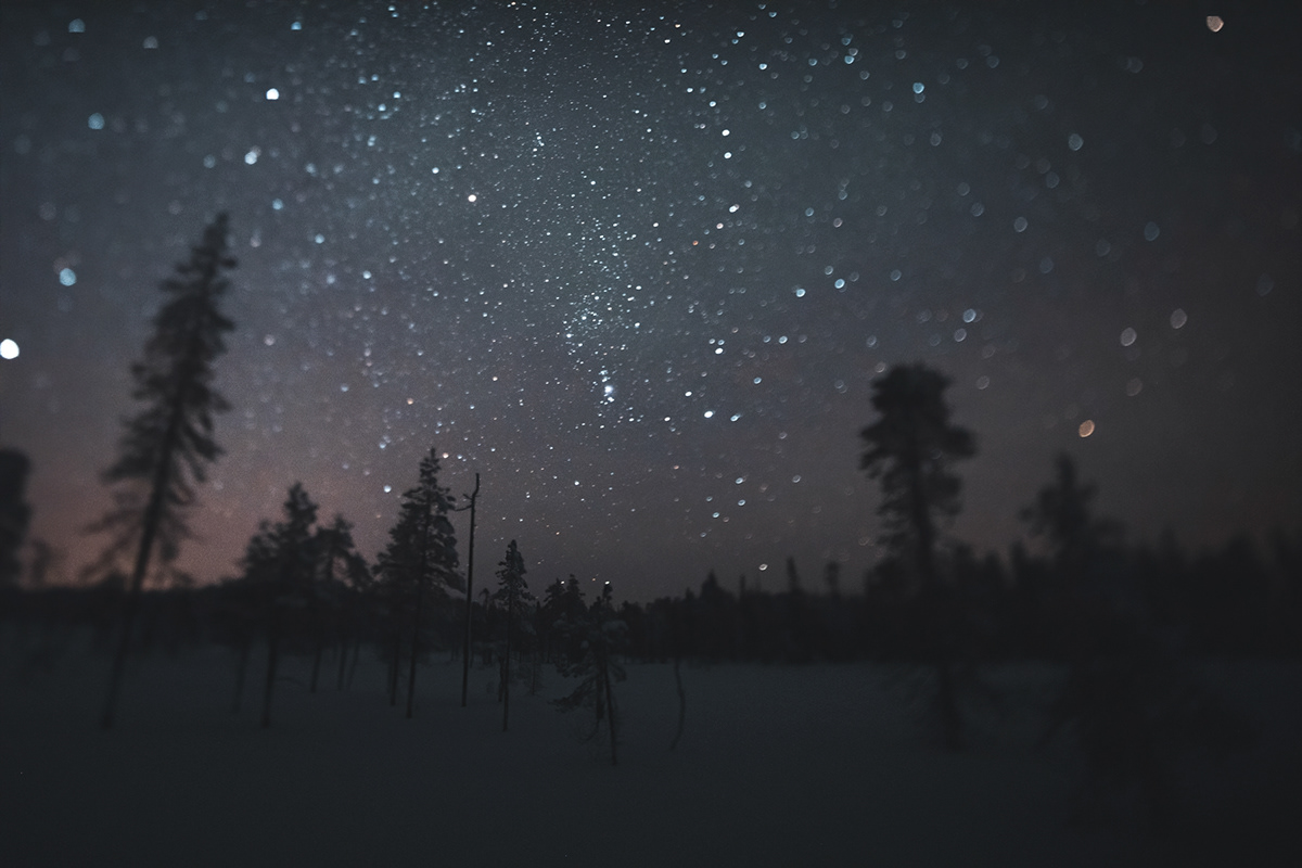 experimental Landscape Nature night Photography  SKY stars tiltshift trees winter
