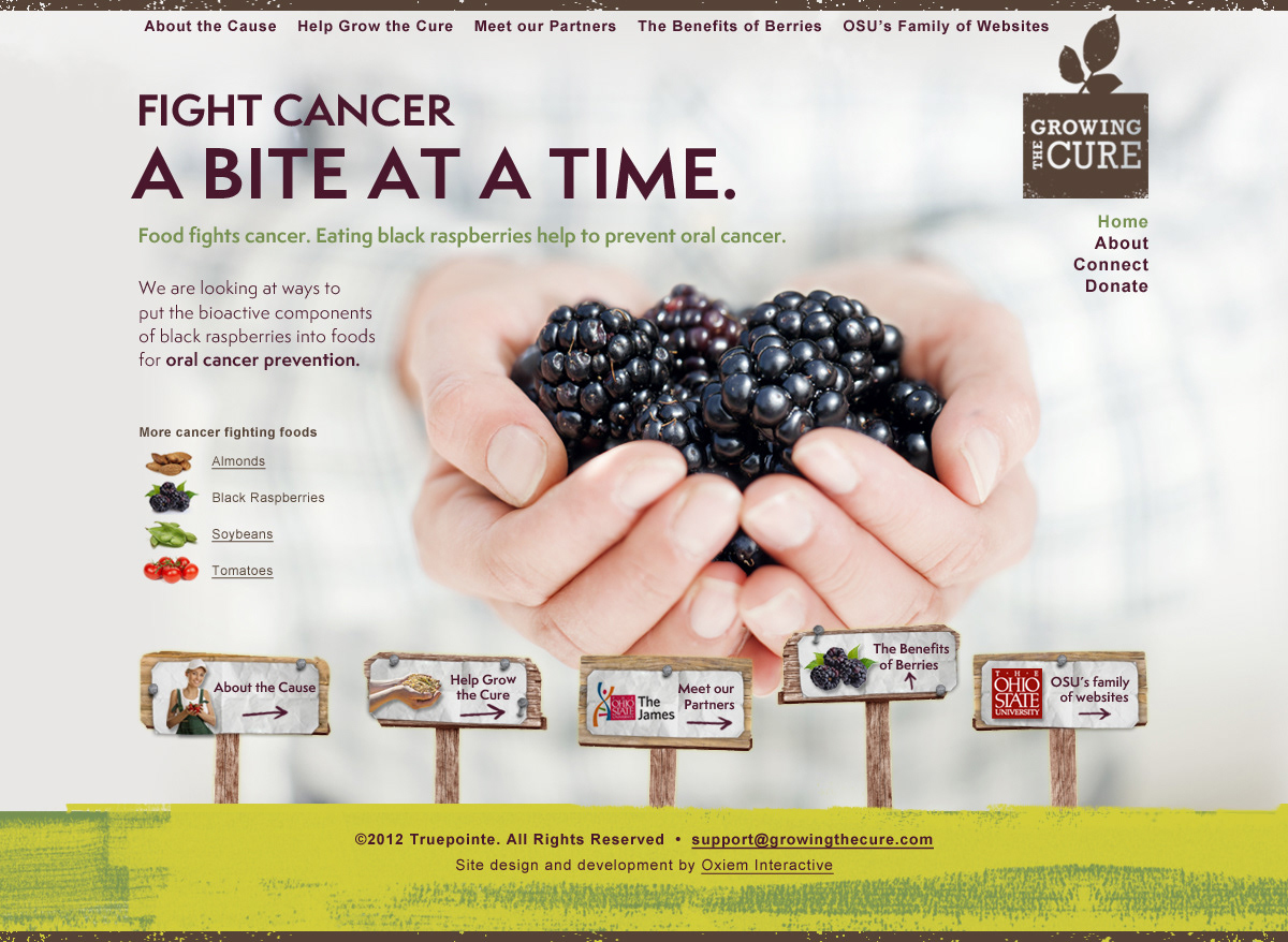 interactive design osu ohio state columbus ohio Cancer Research