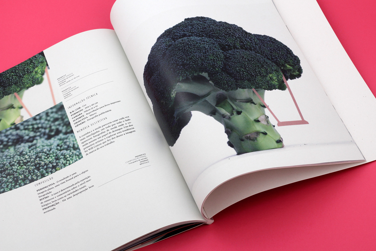 photo  vegetables design magazine journal paper  papercut editorial color