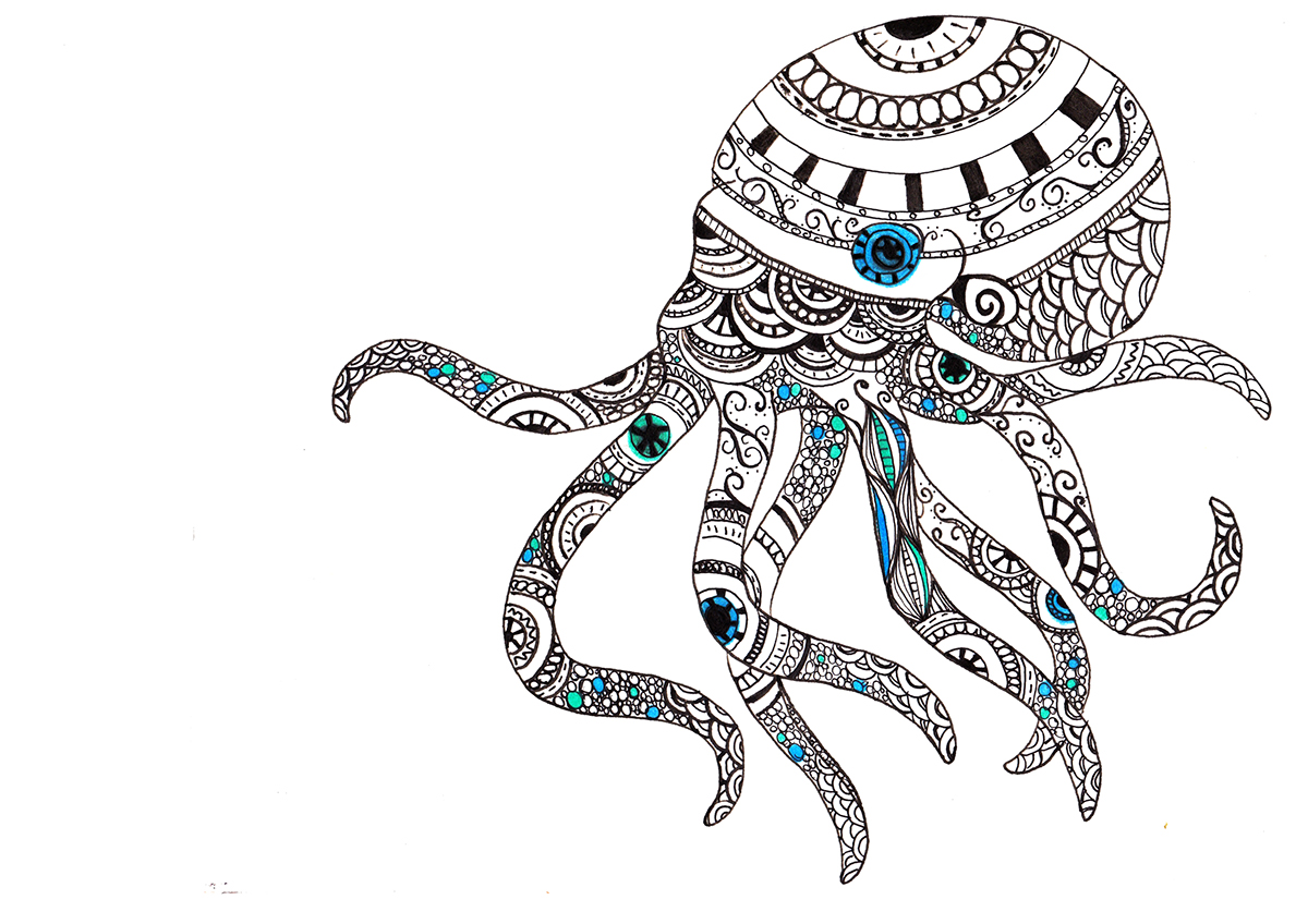 octopus draw art cephalopod sea Ocean animals illustrations colours water Squid prints