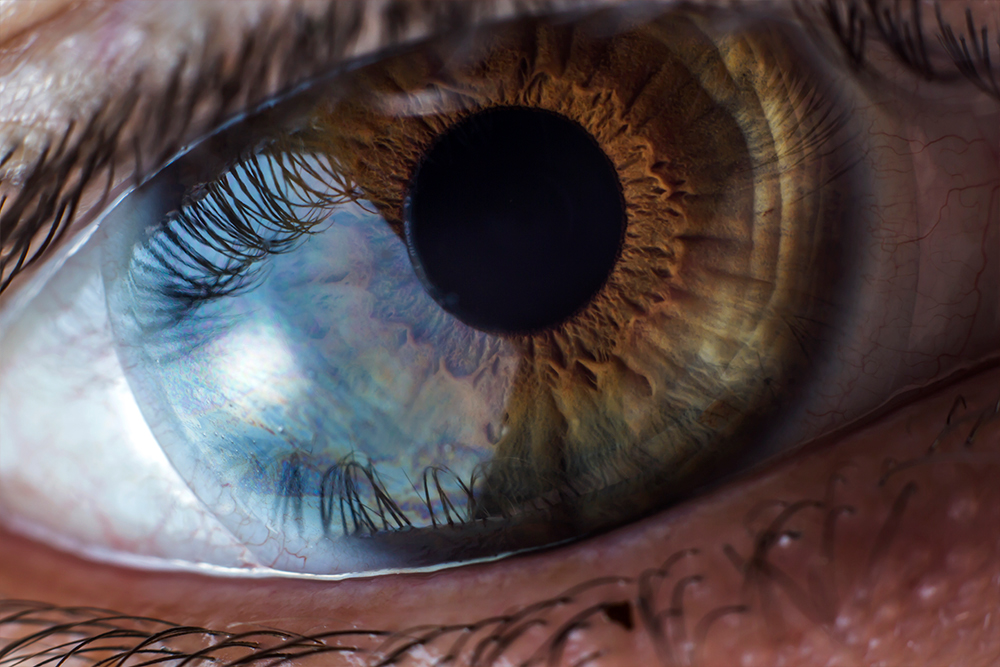eyes PUPIL ojos pupila detail detalle macro 50mm negro colores