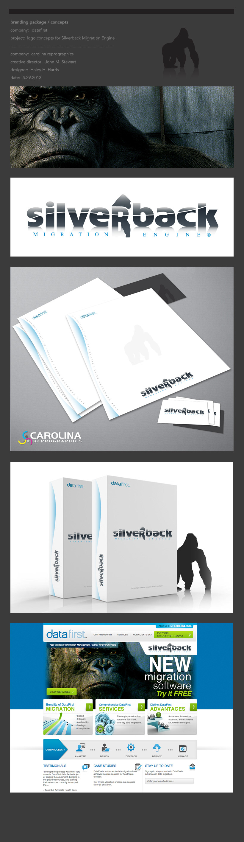 Software design logo gorilla Silverback engine mirgation corporate Technology information sharing Data first software packaging letterhead Web Web branding