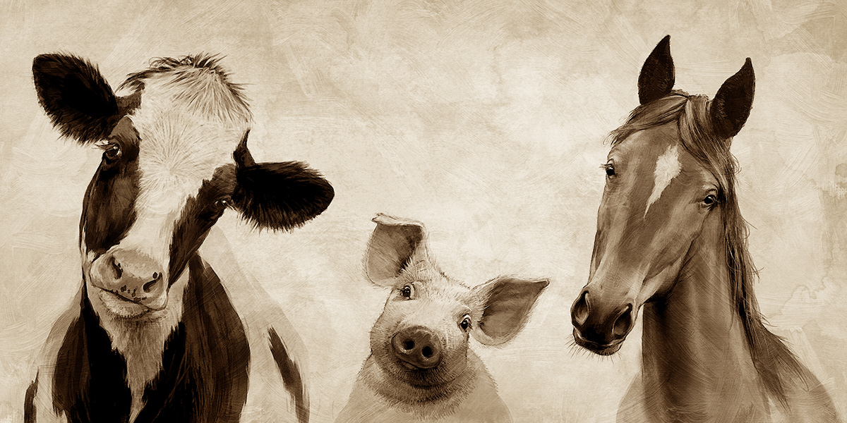 curious animals Head Tilt Drawing  digital illustration