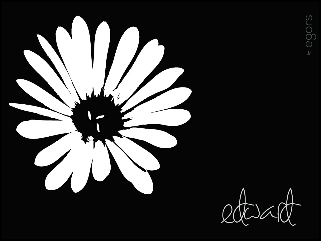 boy dream creative egors Love graphic design  black White simple flower