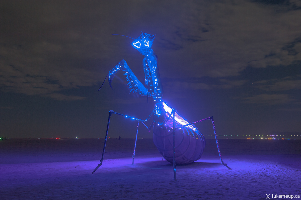 steel sculpture welding led LED Lighting interactive art powder coating praying mantis Burning Man dangerous art large scale art Art Installation