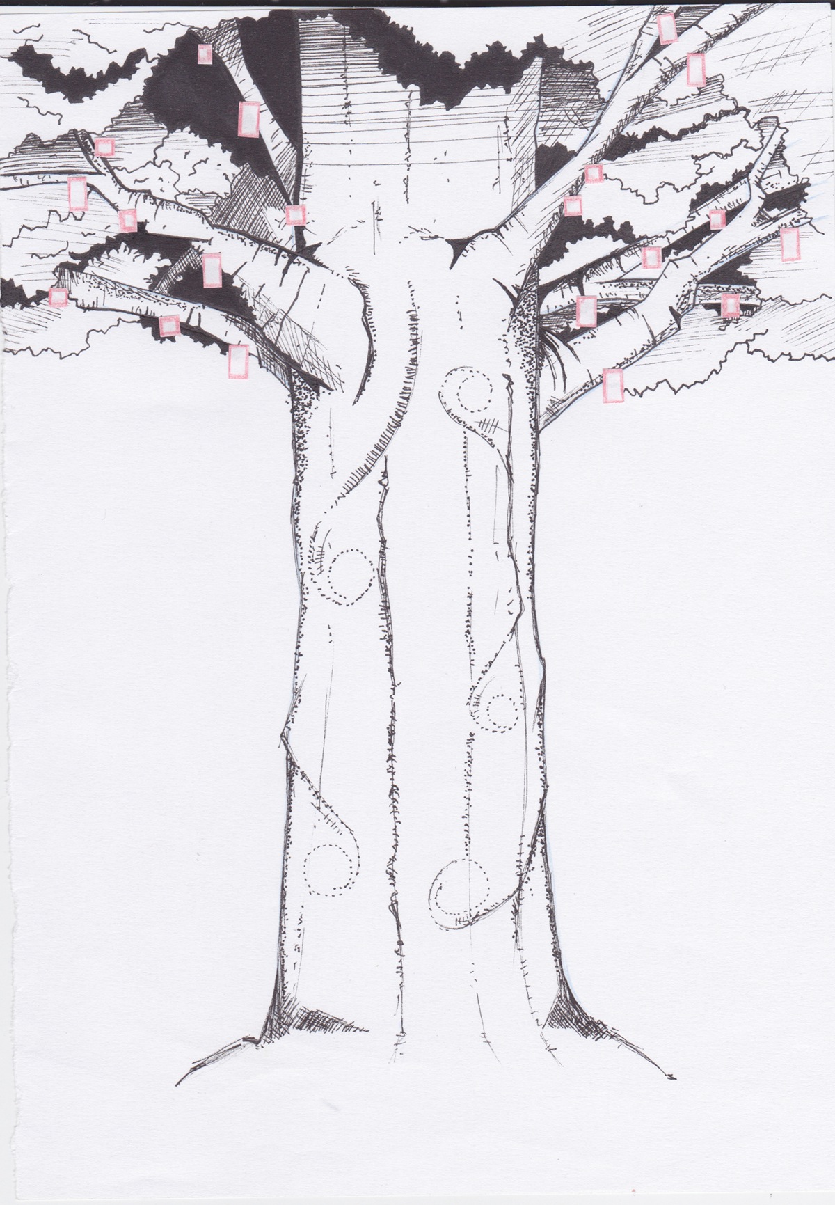 book cover ilustration Ilustração photoshop Illustrator Tree  Árvore