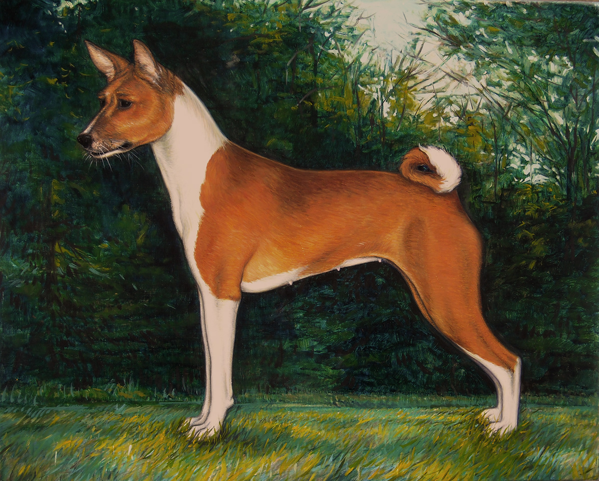 dogs portrait Portraiture dutch old master realistic photorealistic canine Pet