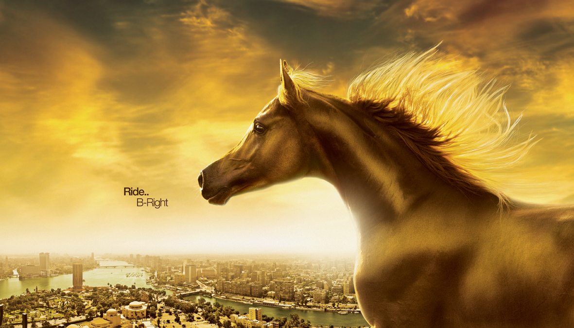 cairo egypt horse Photo Manipulation 