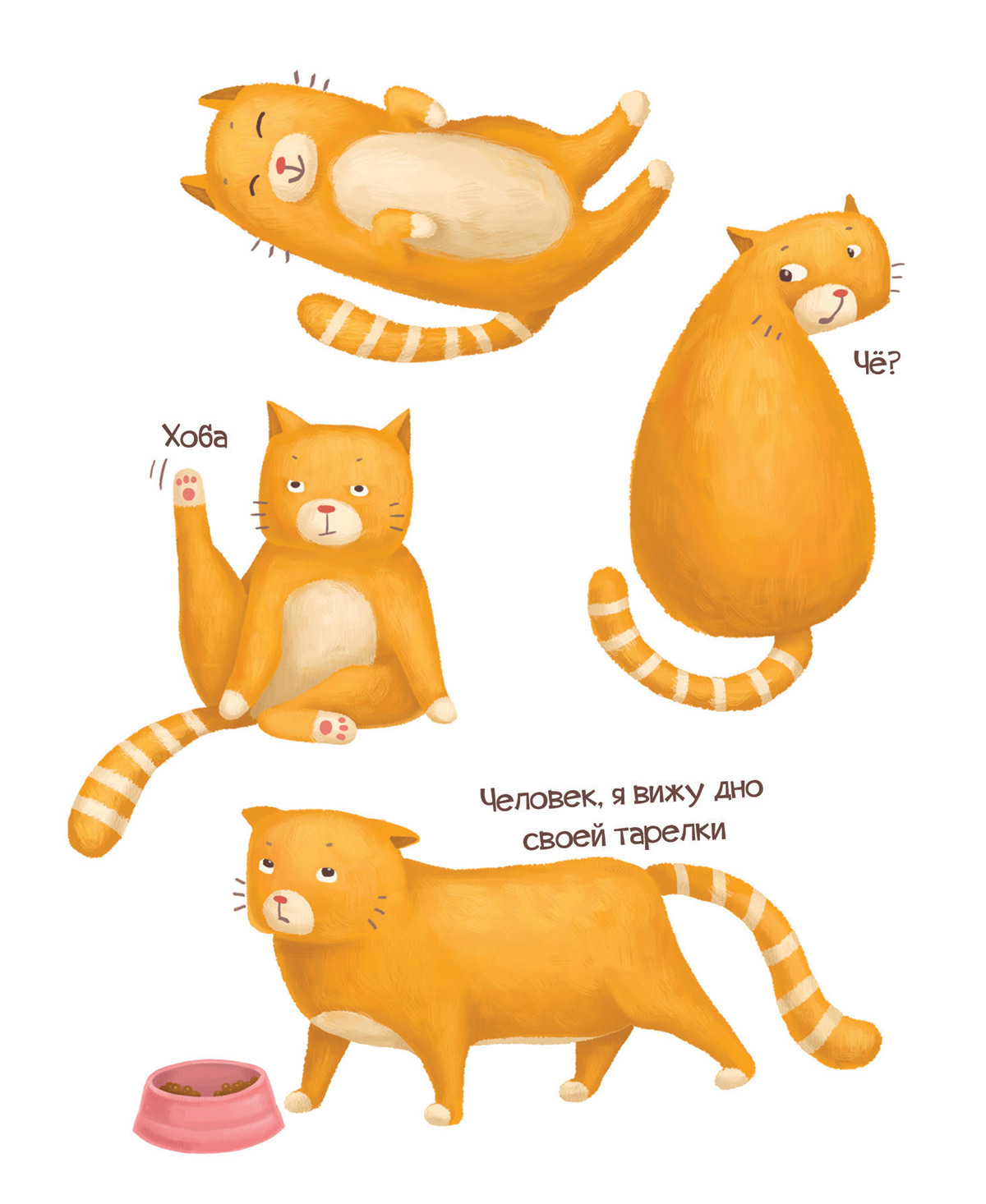 Cat stickers catstickers gingercat ILLUSTRATION  redcat characterdesign Character animalillustration childrenbook