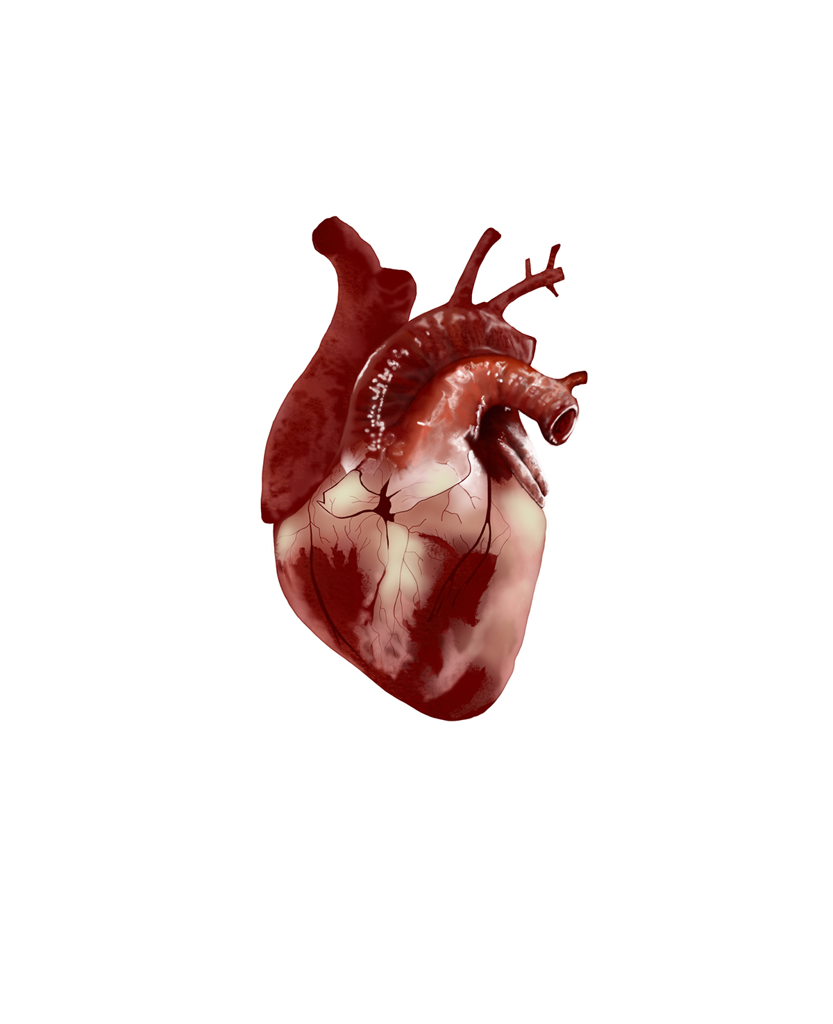 heart cuore organ speed heart speedheart illustration heart illustrazione cuore organo digital illustration speed drawing Real Love tattoo red blood