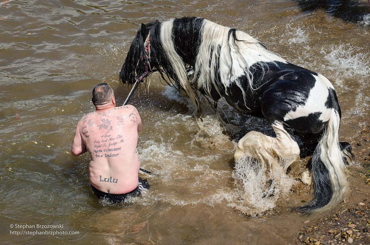 Adobe Portfolio horses Appleby-in-Westmorland Eden Valley cumbria Appleby Horse-Fair River Eden Fair Hill flashing lane Trotting Lane