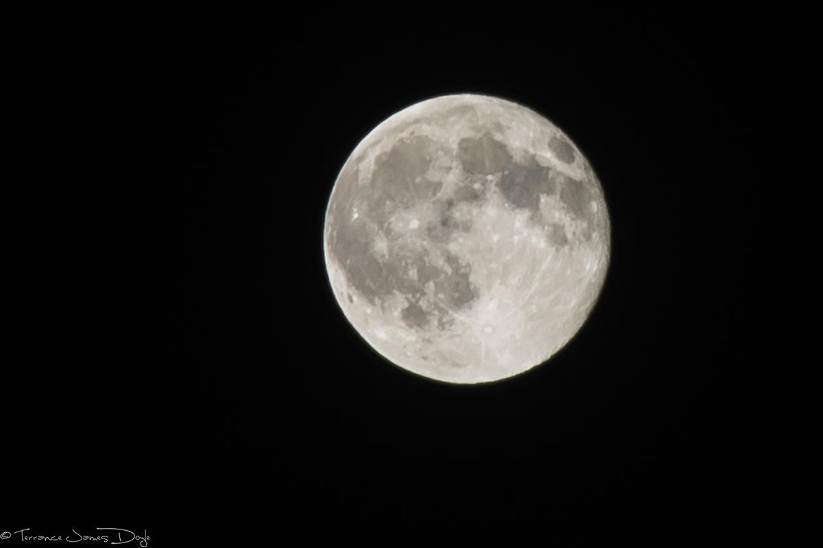 moon BLUEMOON Nikon D600
