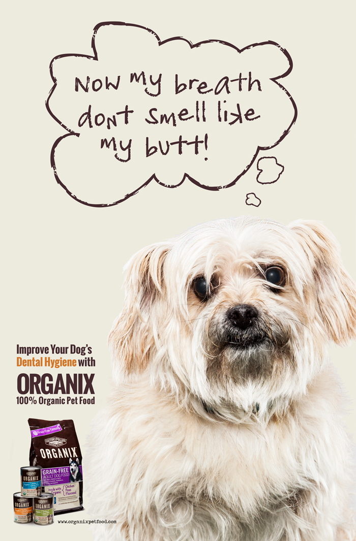 ad  advertising   dogfood dog Food  organix photo puppies dogs healthy organic