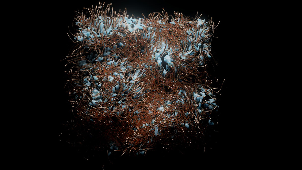 3D abstract CGI generative Hairs houdini organic redshift simulation vfx