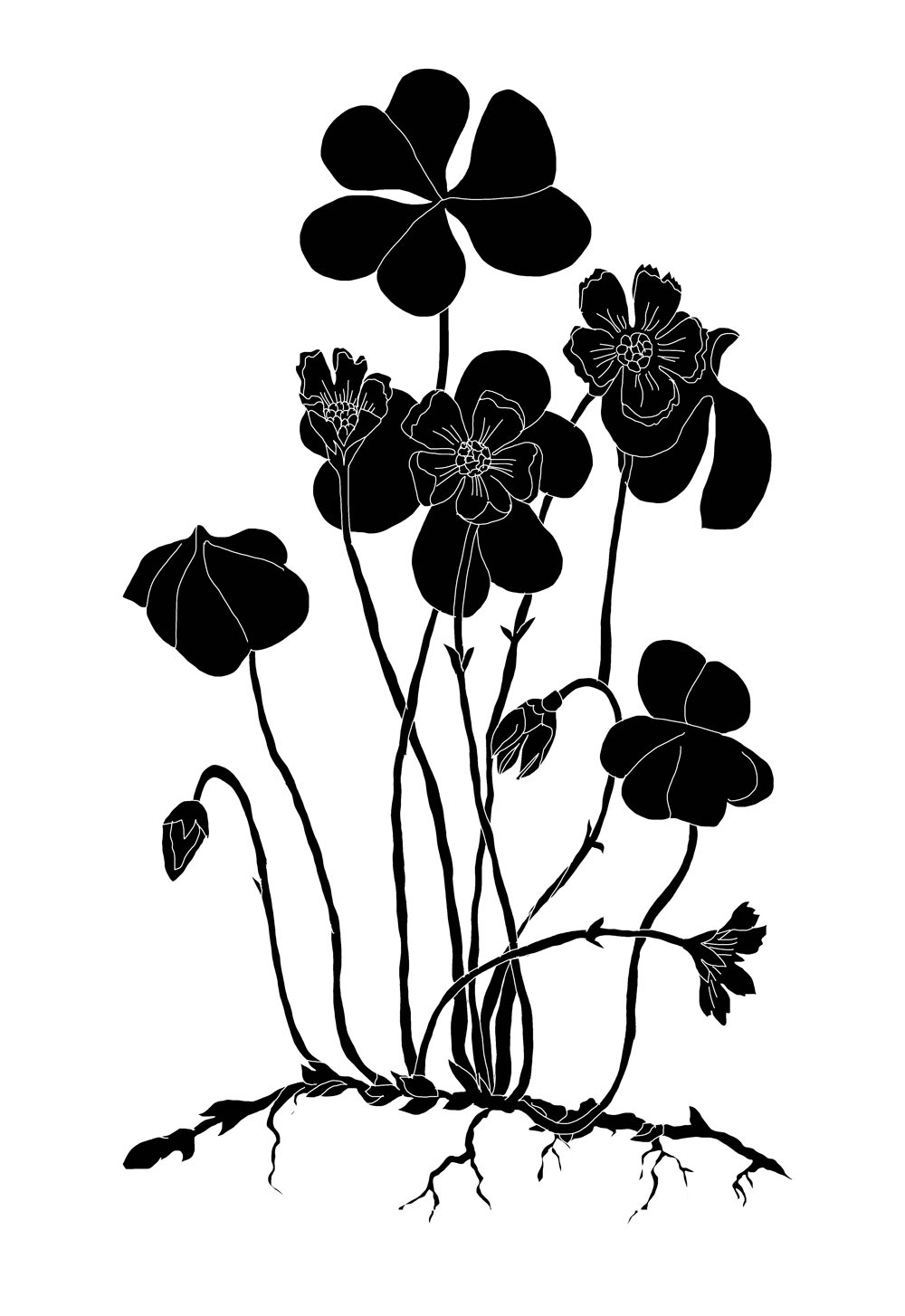 Flowers black