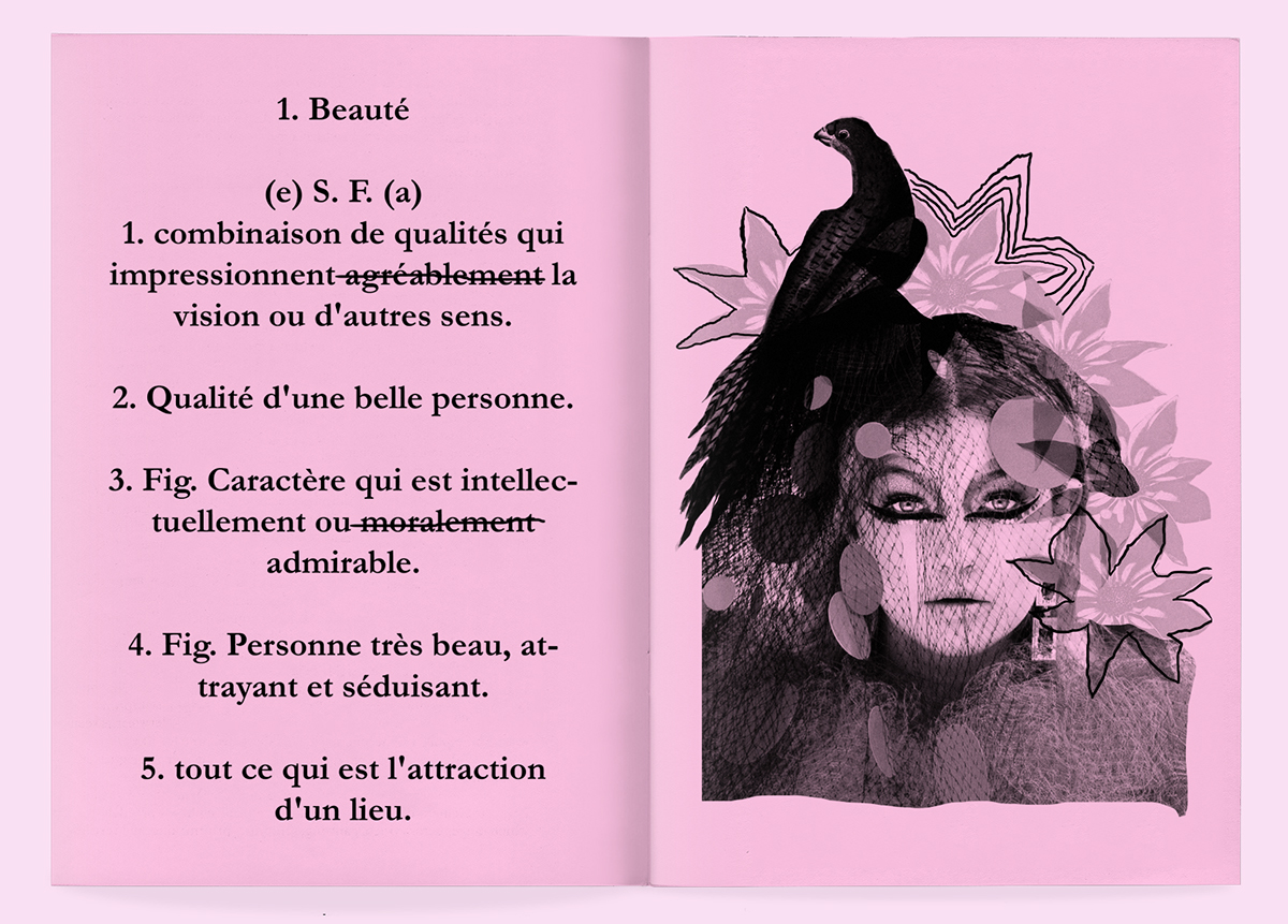 collage botanical Flowers cactus women pink black birds Zine  fanzine digital Nature beauty beauté French