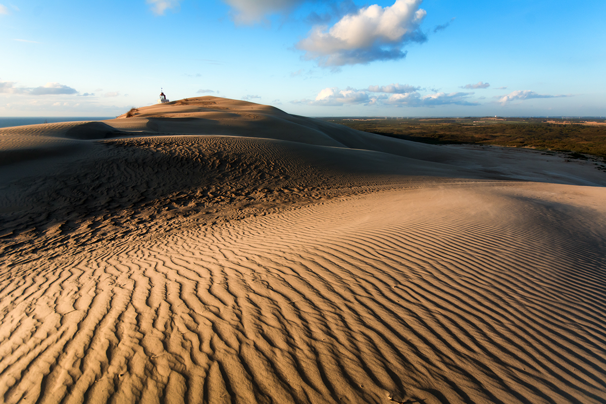 Landscape Nature denmark Europe sand dunes sanddunes wind hill pattern desert black and white remote solitude Sun