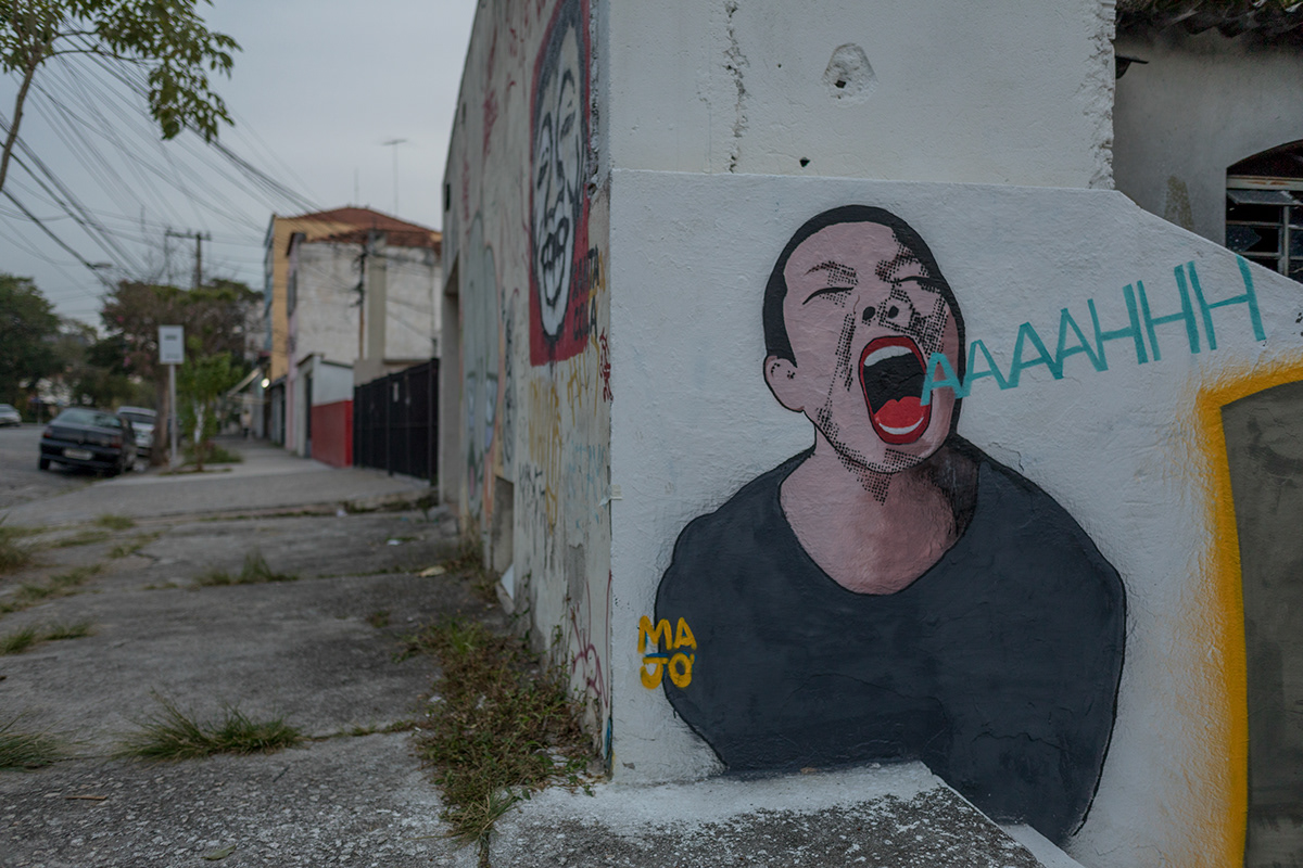 Graffiti stencil Street Art  shout são paulo reticulate
