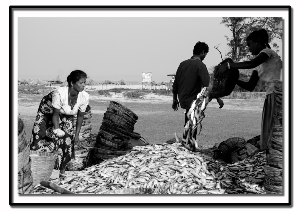 places India Goa Colva beach sea fishermen