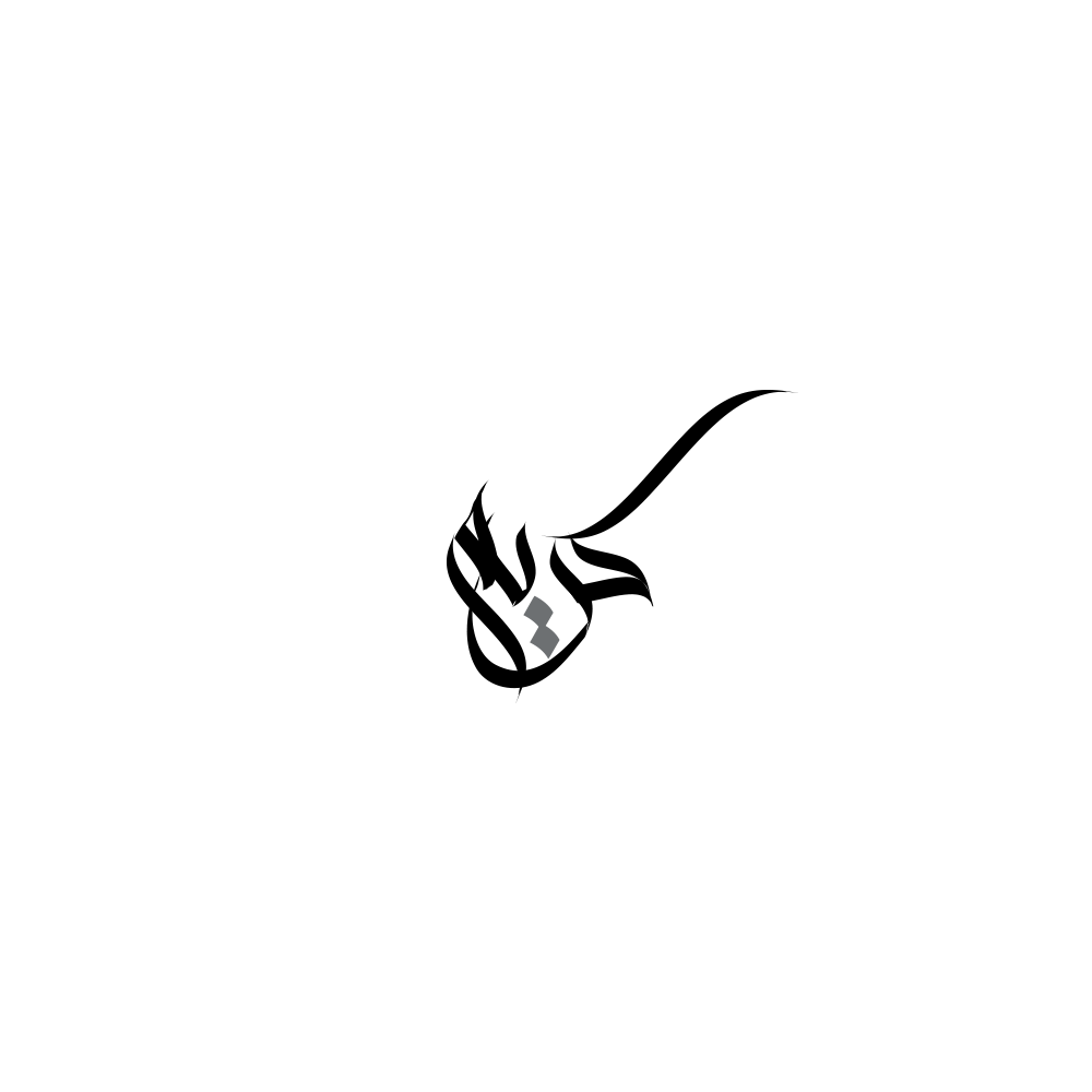 arabic typography   calligarphy خط عربي خط حر اسماء عربية تايبوجرافي كاليجرافي