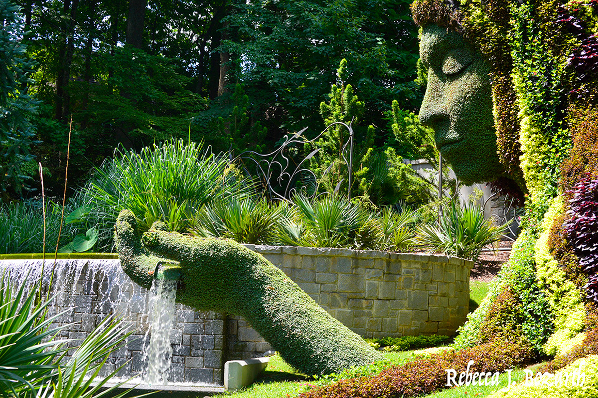 Atlanta Botanical Garden Rebecca Bozarth Rebecca J Bozarth garden Photography  Nikon chihuly